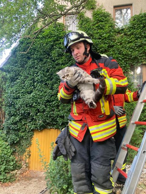 IMG-20210719-WA0006 groß.jpg